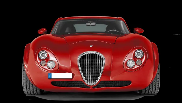 Tigergaming Casino Application Android/iOS